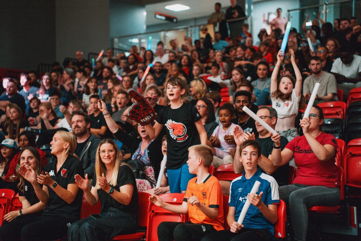 image of a crowd at a basketball game