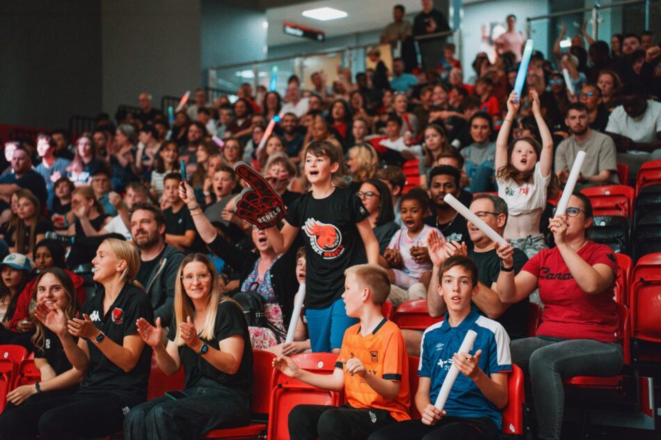image of a crowd at a basketball game