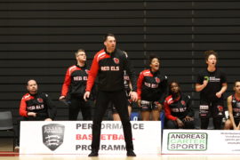 Tom Sadler Rebels coach